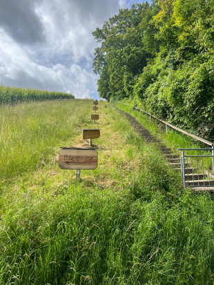 Wanderung im Ländle,
23. Juni 2024